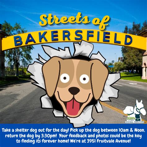 Bakersfield Animal Services: Compassion, Care, and Community Impact