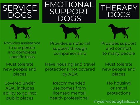 A Heartfelt Guide to Making Your Dog an Emotional Support Animal (ESA)