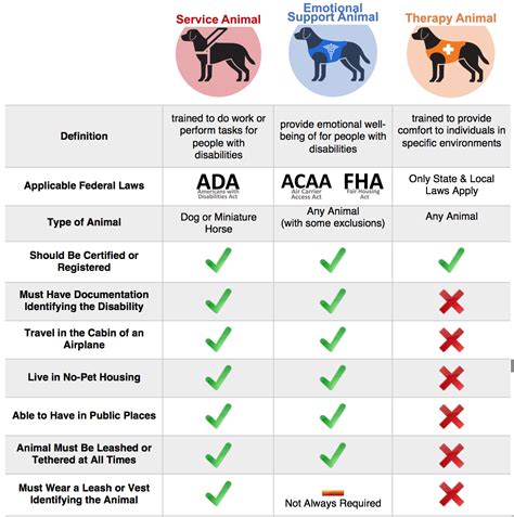 Navigating Federal Law: Rights and Responsibilities of Service Animals