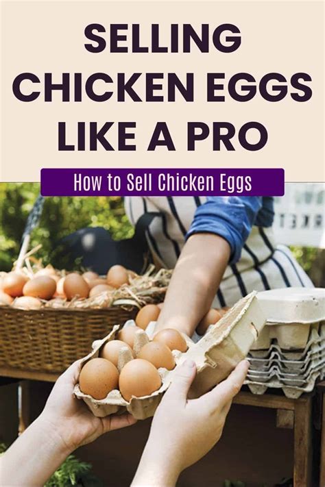 Mastering the Art of Selling Farm Fresh Eggs Successfully