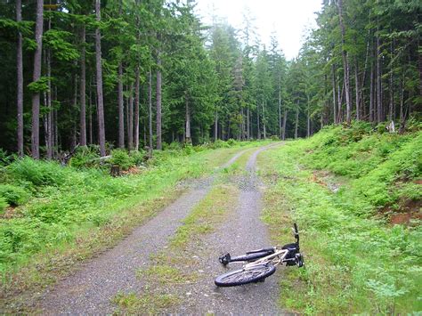 Unearthing the Wilderness: Your Guide to Exploring Logging Roads