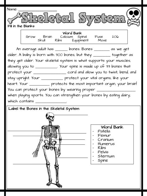 Unlocking Anatomy: Free Printable Skeletal System Worksheets