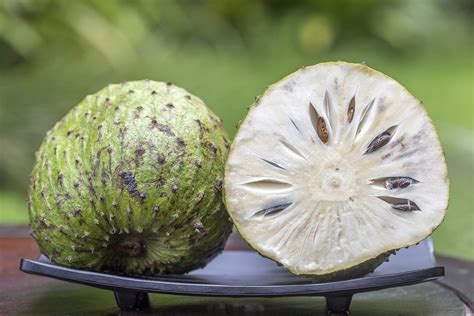 Where to Find Soursop: Your Guide to Buying This Exotic Fruit