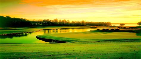 Discovering the Perfect Greens: Where Golf Takes Flight