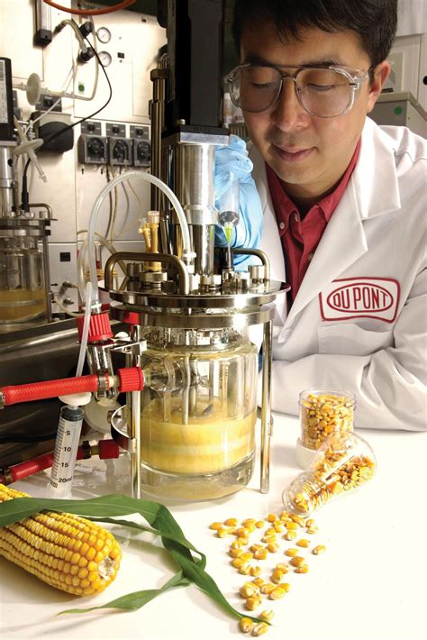 What is Biofuel? Understanding Renewable Energy Sources