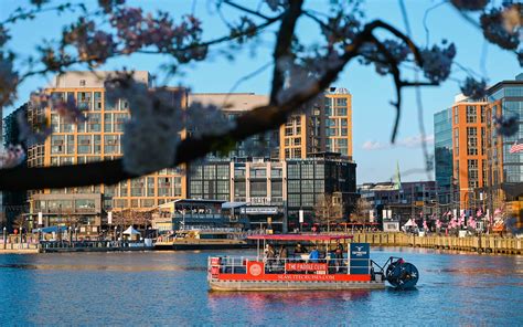 Unforgettable Birthday Cruise in Washington D.C.
