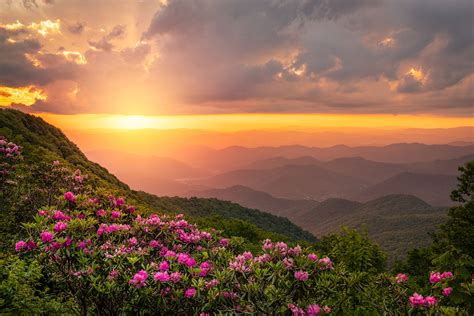 Discover the Enduring Charm of Carolina USA: Lifestyle and Inspiration
