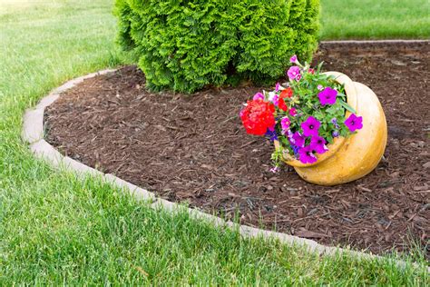 Unearthing Garden Gold: Your Guide to Finding Cheap Mulch