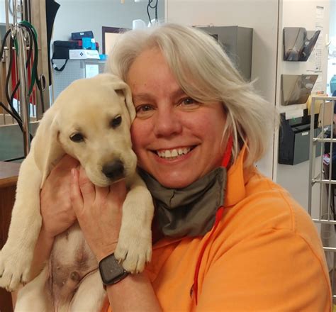 Cherry Knolls Vet Clinic: Compassionate Pet Care Services