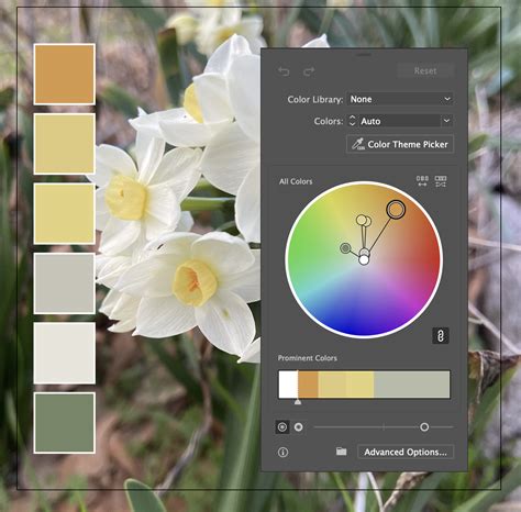 Unlock Your Creativity: Crafting Stunning Color Palettes in Illustrator