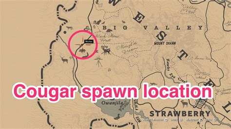 Mastering the Wild: Where to Hunt Cougars in RDR2
