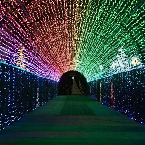 Illuminate Your World: Leading Decoration Light Manufacturer