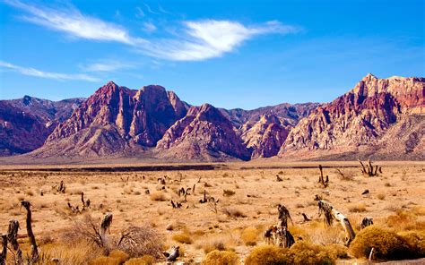 Unveiling the Majestic Deserts of the USA: A Journey Through Arid Wonders