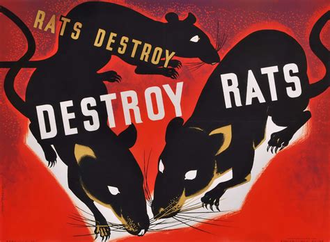 Effective Strategies to Destroy Rats and Reclaim Your Home