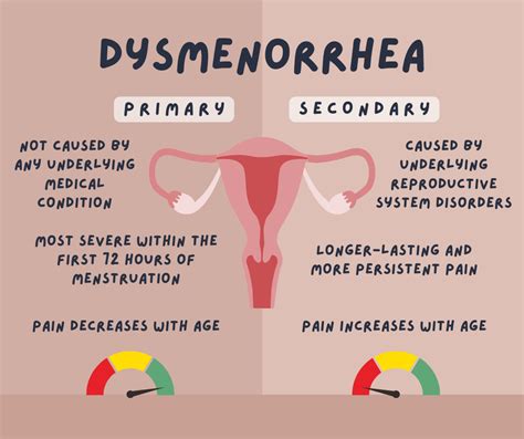 Conquering Dysmenorrhea: Your Guide to a Pain-Free Period
