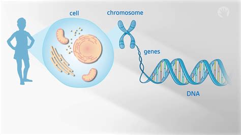 Unraveling Your Genetic Blueprint: Discovering Who You Are