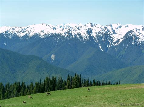 Finding Your Sanctuary: Exploring Parks for Wellness and Adventure