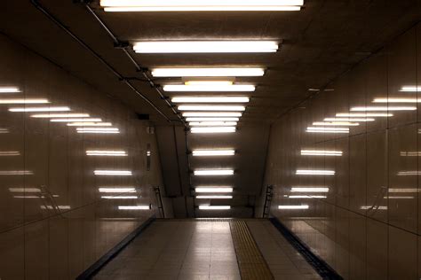 Discovering the Best Places to Purchase Fluorescent Lights for Your Home & Business