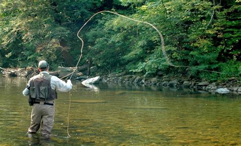Beginner's Guide to Fly Fishing: Embrace the Art and Serenity
