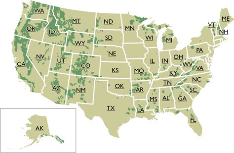 Unveiling the Green Lungs: A Comprehensive Forests Map Guide