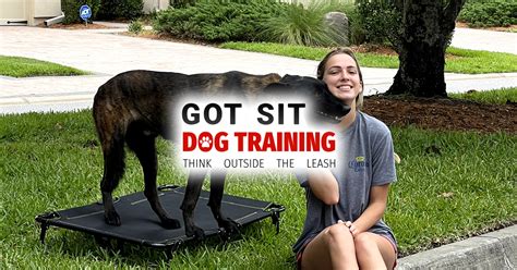 Mastering the Essential 'Sit' Command for Your Dog