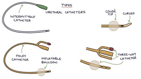 Understanding Catheter Use: A Comprehensive Guide to Insertion and Care