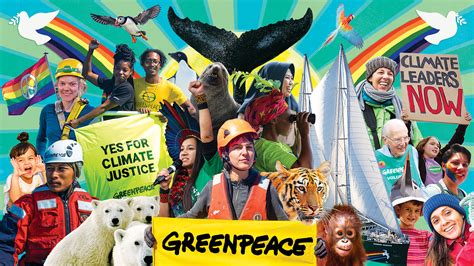 Greenpeace Job Opportunities: Make a Difference for the Planet