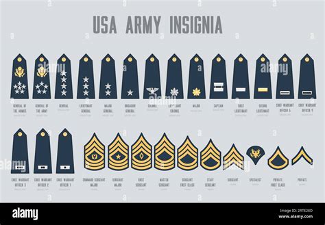 How to Become a Lieutenant in the Army: Your Path to Leadership