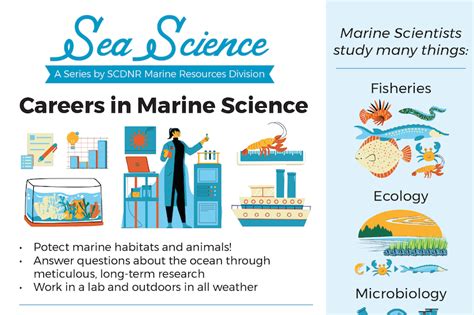 Dive into the Depths: Your Ultimate Guide to Marine Scientist Jobs