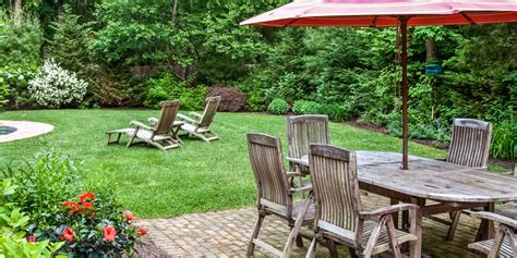Reclaim Your Oasis: A Comprehensive Guide to a Mosquito-Free Yard