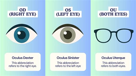 Deciphering OS and OD: Understanding Eye Abbreviations for Contact Lenses
