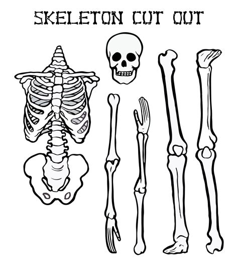Free Printable Skeleton Templates for Educational Fun & Halloween Decor