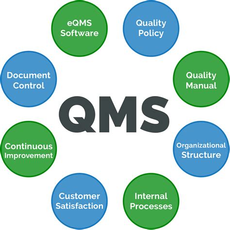 Unlocking Excellence: A Deep Dive into Quality Management Systems (QMS)