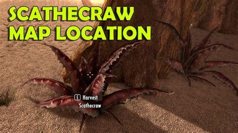 Unearthing Scathecraw: Your Essential Guide to Finding This Elusive Herb