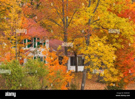 Exploring the Timeless Charm of Wadhams, New York