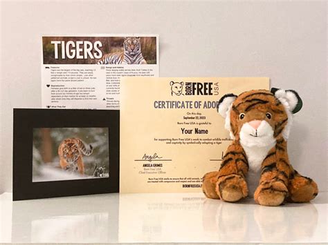 Wild Animal Adoption: A Heartfelt Guide to Sponsoring Wildlife