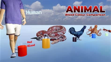 Where to Buy Animal Blood: A Comprehensive Guide for Culinary and Crafting Needs