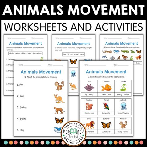 The Wonders of Animal Movement: Exploring Nature's Diverse Locomotion