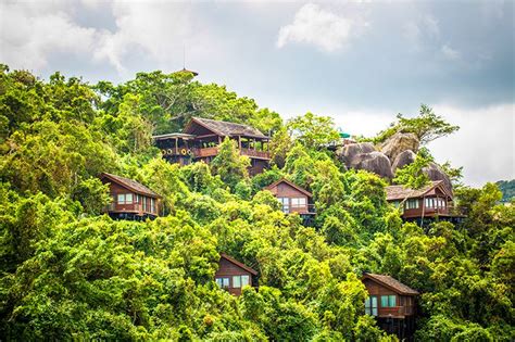 Bird Nest Hotel China: Unique Eco-Luxury Stays & Retreats