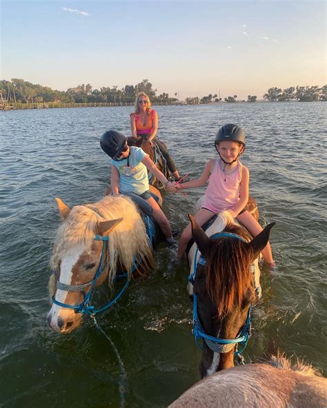 Enchanting Carousel Sea Horses: A Whimsical Journey