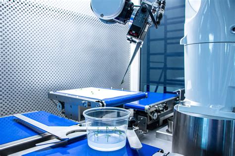 Exploring the Future: Where Culture Meets Automation