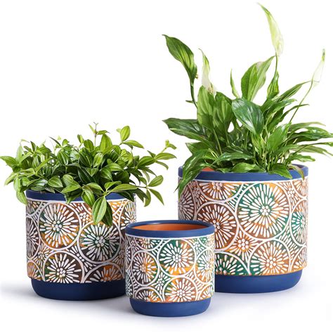 Elevate Your Home: The Art of Decorative Flower Pots