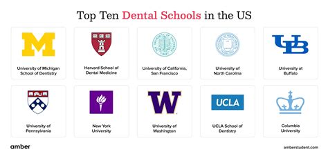 Top Dental Schools in the United States: Your Path to a Bright Career