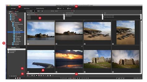 Mastering DPP Photo Editing for Breathtaking Digital Images