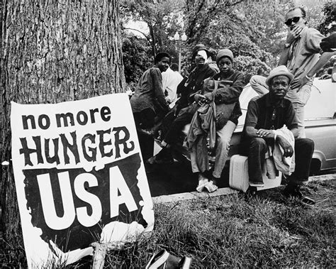 Understanding the Evolving Food Crisis in the USA