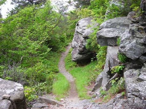 Uncovering Breathtaking Free Hiking Trails Near You