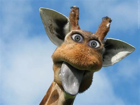 Unforgettable Giggles: Exploring the World of Funny Giraffes