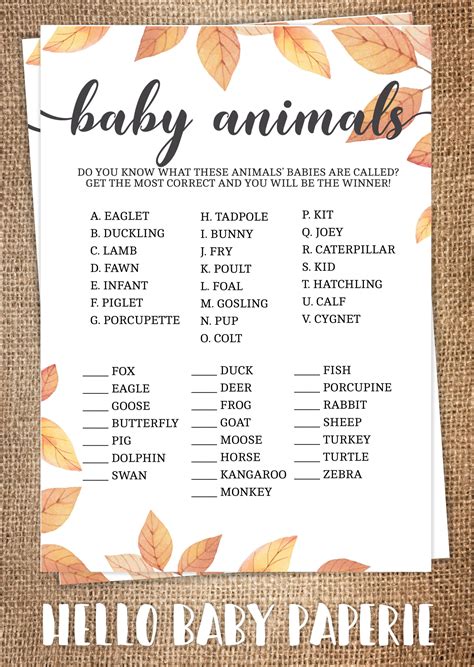 Fun & Creative Baby Shower Games for Unforgettable Celebrations