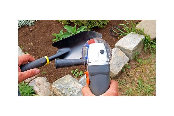 Restore & Revitalize: The Essential Guide to Sharpening Your Gardening Tools