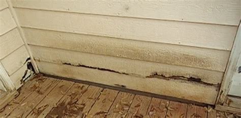 Restoring Your Home: A Guide to Hardboard Siding Repair